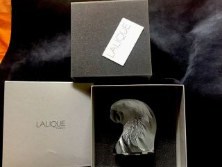 Mib Lalique Macao Macaw Bird Frosted Crystal Sculpture Rare Out Of Production
