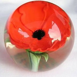 Orient & Flume Red Poppy Signed Paperweight - Stunning