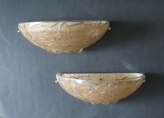 R Lalique Clear,  Frosted And Sepia Stained 2 Glass Wall Sconces " Charmes " 1924