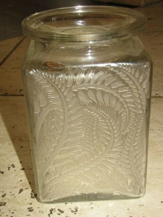 R Lalique " Myrrhis " Glass Crystal Vase Signed Rene
