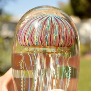 Satava Gold Ruby Jellyfish Hand Crafted Glass 6.  5 Inches Tall Signed