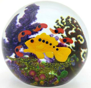 Phenomenal Magnum Chris Heilman Colorful Grouper & Squid Art Glass Paperweight