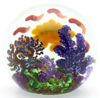 PHENOMENAL Magnum CHRIS HEILMAN Colorful GROUPER & SQUID Art Glass PAPERWEIGHT 3