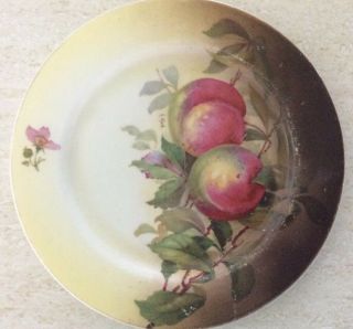 Vintage J&c Louise Bavaria_hand Painted Apple Plate_signed Koch_8.  5 "