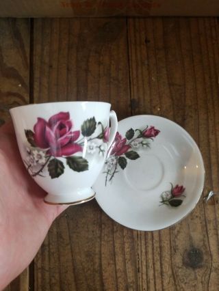 3 Royal Kent Bone China Tea Cup And Saucer Dogwood Made In Staffordshire England