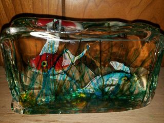 Large Murano Colorful Fish Aquarium Art Glass Sculpture Block 8 " The.