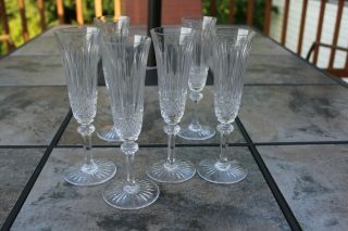 6 Saint St.  Louis Crystal Tommy Champagne Flute Glass 8 1/8 " H France