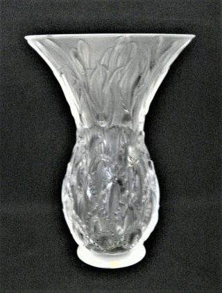 Lalique Crystal France 1 - Tall Frosted Vase 9 " T Crocus / Flower Bulbs Design