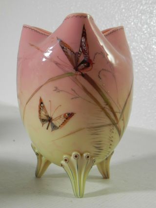 Mt Washington Art Glass Glossy Burmese Footed 7 " Vase,  Butterflies,  Berry Prunt