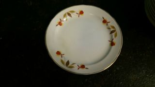 Superior Hall Quality Dinnerware Autumn Leaves Bread And Butter Plate