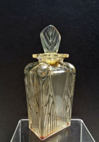 A Vintage R.  Lalique Roger Et Gallet " Cigalia " With Grey Staining 5 " Tall 1910