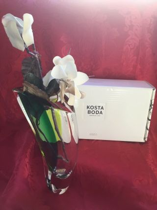 Nib Flawless Exquisite Kosta Boda Sweden 11 1/4” Gorman Warff Crystal Aria Vase