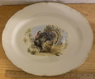 Vintage Thanksgiving Turkey Platter 15” Oval Gold Edge Homer Laughlin Usa