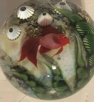 Orient Flume Scott Beyers Beta Fish Art Glass Paperweight Sea Life Coral Signed