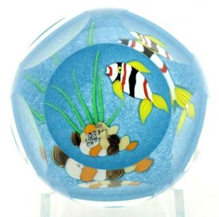 Gorgeous Perthshire Colorful Tropical Fish Aquarium Art Glass Paperweight