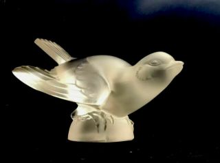 Lalique Sparrow Crystal Bird In Flight Absolutely