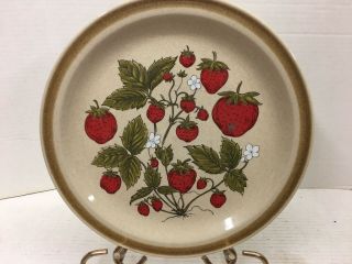 Vintage Country Living Stoneware Strawberry Patch 10 1/2 " Round Dinner Plate