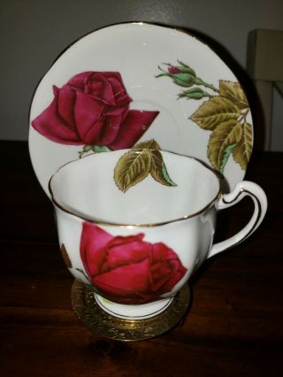 Royal Standard Old English Rose Cup And Saucer