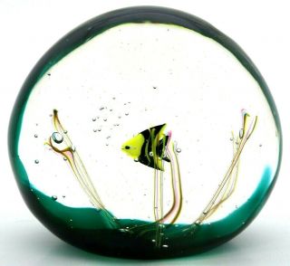 Large Elio Raffaeli Murano Yellow Fish Aquarium Art Glass Sculpture 6.  3 "