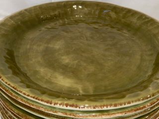 Tabletops Gallery GISELLA OLIVE Green Tan Dinner Plate 11 