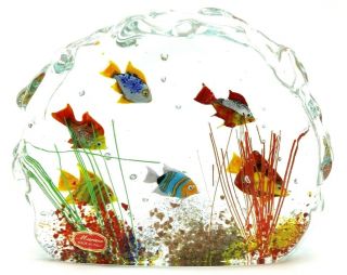 Large Splendid Murano Tropical Fish Aquarium Art Glass Sculpture Paperweight 8.  5
