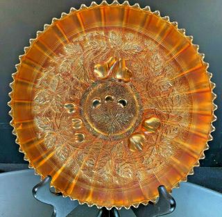 Northwood - Carnival - - Footed Plate - - Marigold - - Three Fruits - - - - Buy It Now