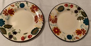 Home American Simplicity Stoneware Vine Floral11 3/8 " Dinner Plate,  Set Of 2