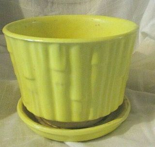Mccoy Pottery Yellow Bamboo Flower Pot With Attached Saucer