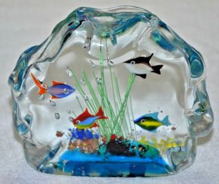 Murano Tropical Fish Aquarium Art Glass Sculpture Paperweight 5 " X4.  5 " X1.  5