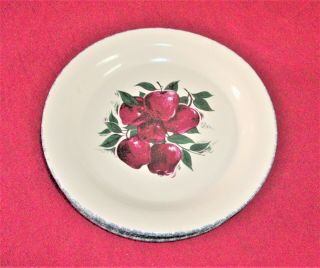 APPLES by Home & Garden Party Stoneware DINNER PLATE 10 