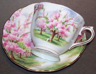 Royal Albert " Blossom Time " Bone China Tea Cup & Saucer (very Collectible)