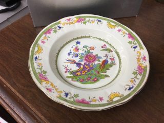 Vintage Tams Ware Birds Of Paradise 8 - 3/4 " Rimmed Soup Bowl Made In England