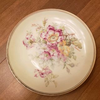 Antique Royal O&eg Austria Hand Painted Pink Roses & Gold Artist Signed Plate