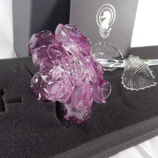 Waterford Crystal Fleurology Lavender Long Stem Rose Flower Sculpture