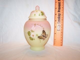 Fenton Burmese Butterfly Painted Temple Jar With Lid Fagca