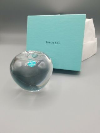 Tiffany And Co.  Crystal Apple Paper Weight 3.  5 "