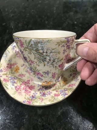 Lord Nelson Ware,  Teacup And Saucer 2750,  Heather.