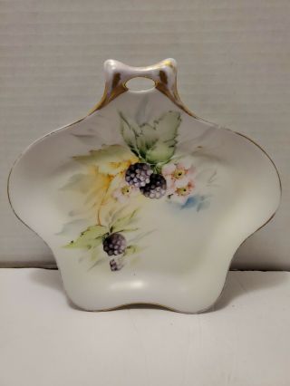 Vtg Hutschenreuther Selb Bavaria Favorite Flowers And Berries Handled Dish (37)