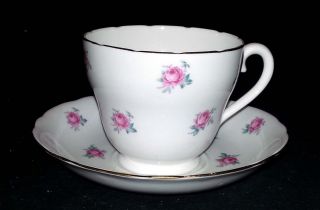 Mayfair Bone China England - Scattered Pink Roses - Tea Cup And Saucer Set