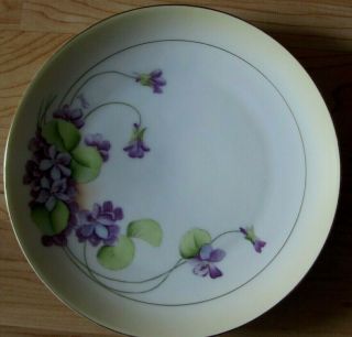 Vintage Hand - Painted Bavarian China Plate Signed. 2
