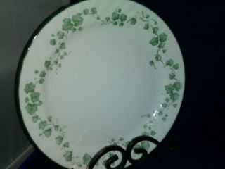 12 - Vtg Corelle Callaway Ivy Dinner Plates Green Ivy & Dark Green Edge 10 ¼” Wide