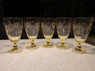 Yellow Topaz Jubilee Wine Water Goblets Etched Lancaster Depression Glass Set 5