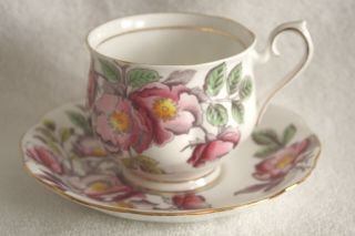 Royal Albert Teacup And Saucer In Dog Rose Pattern