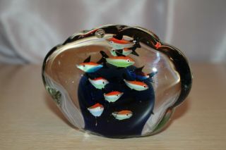 Murano Art Glass Aquarium Paperweight Sculpture Clamshell Shaped 12 Fish