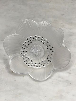 Elegant Lalique France Clear Frosted Crystal Anemone Flower Sculpture With Stem