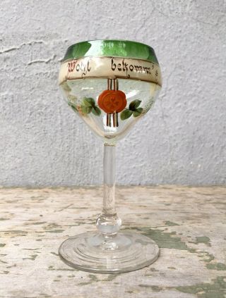 Theresienthal Bohemian Enameled Floral Wohl Bekomm’s Glass Stem Goblet