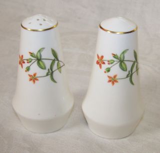 Salt & Pepper Shaker Set Minton Meadow Bone China England Floral Flower Design