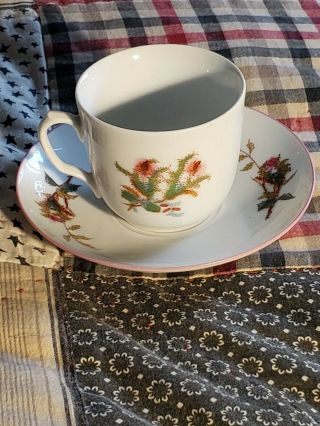 Haviland Limoges France Tea Cup/saucer,  Floral H&c