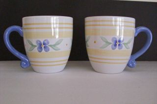 Pfaltzgraff " Summer Breeze " Set Of 2 Coffee Mugs Stoneware