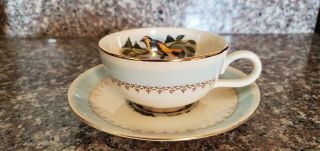 Vintage Rhythm Oriole Bird Coffee Tea Cup And Saucer By Homer Laughlin A51n4